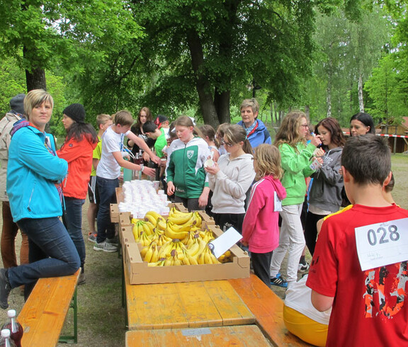 Laufwunder Caritas St. Pölten 2015