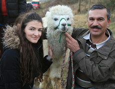 Ein Mann und eine Frau mit einem Lama 